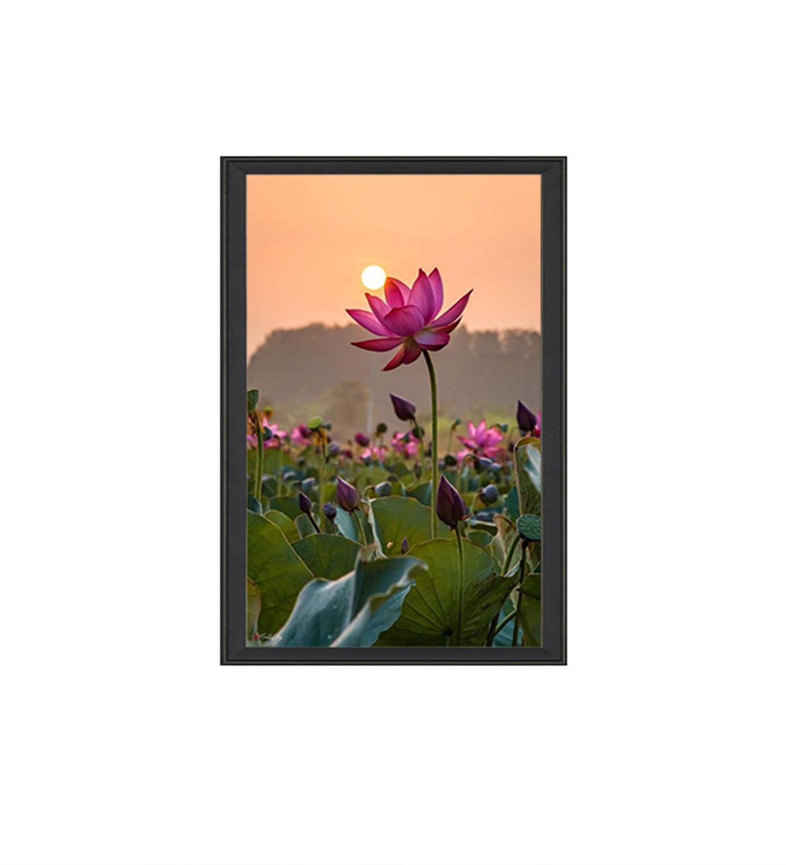 Vibrant Floral Vastu Wall Art