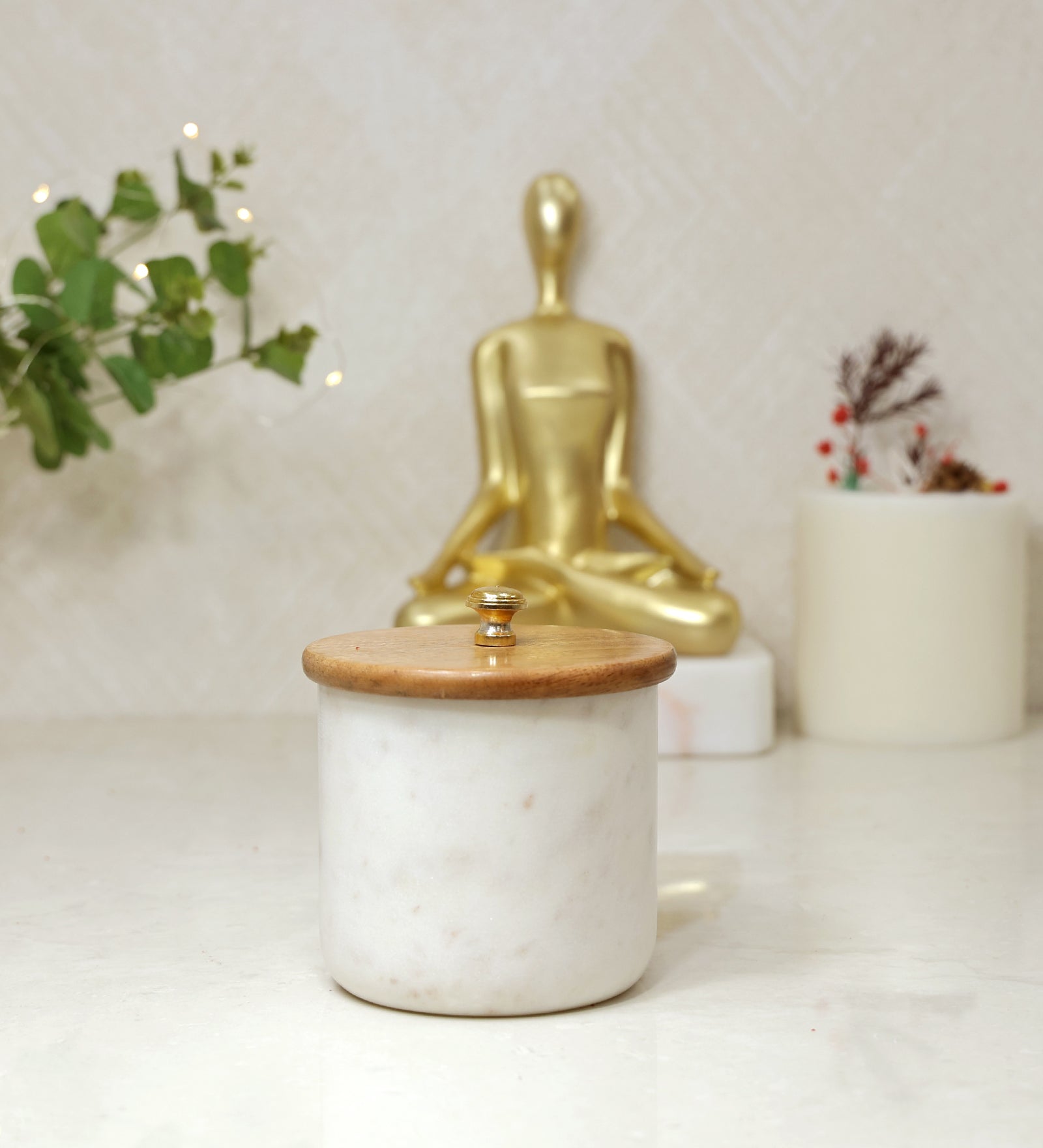 Contemporary Airtight Canister