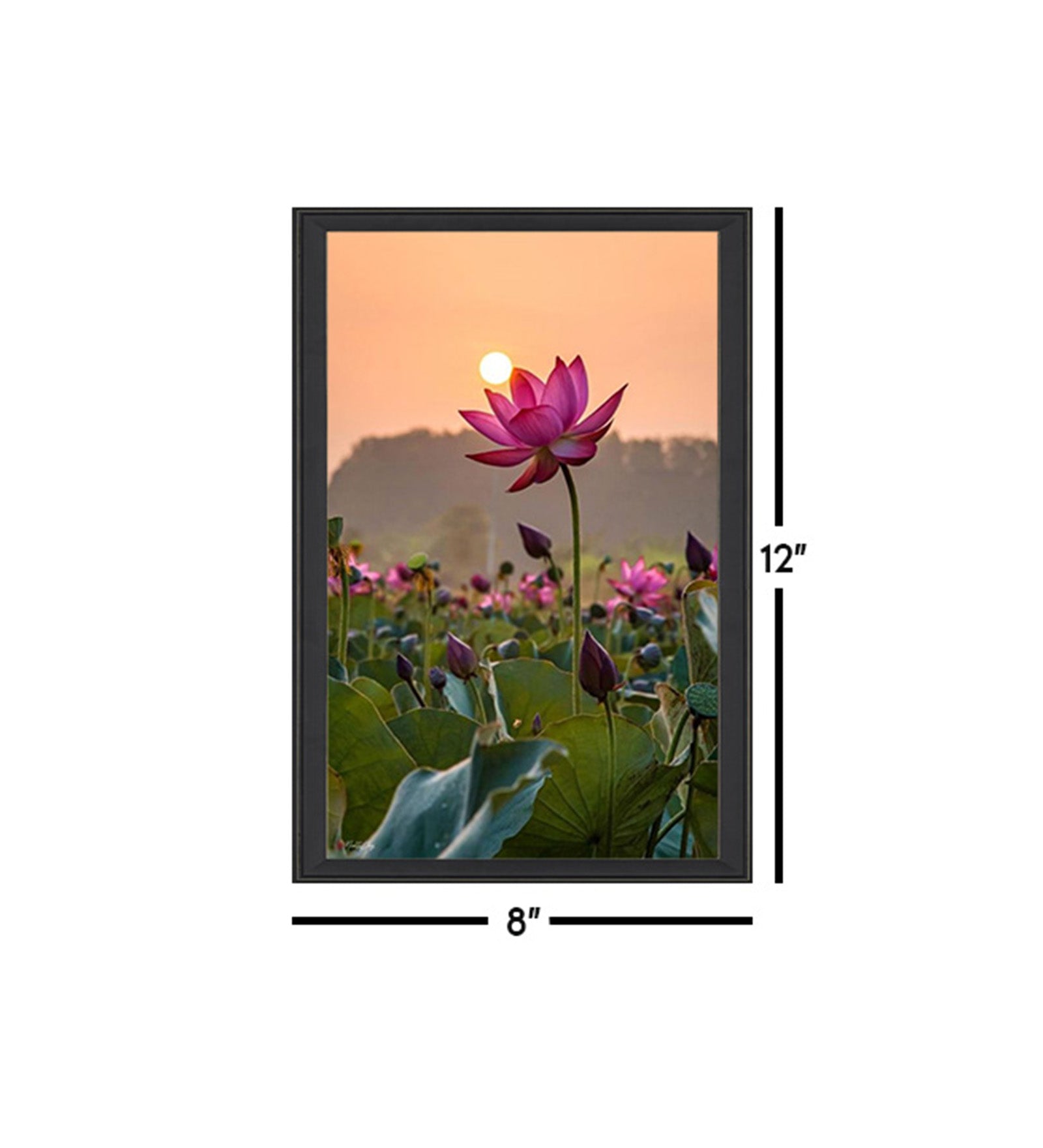 Vibrant Floral Vastu Wall Art