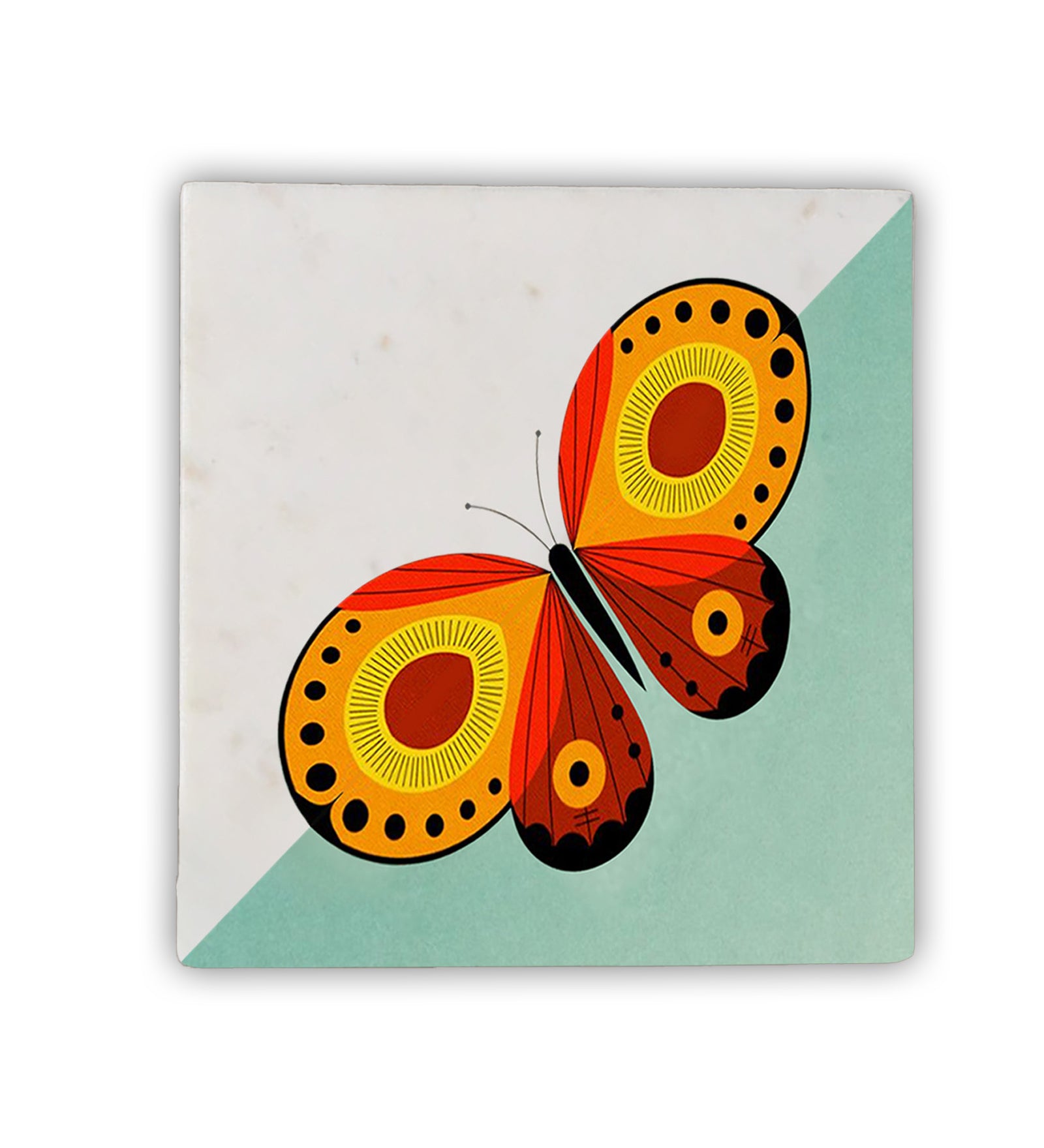 Color me Butterfly Wall Art