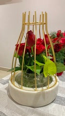 Indoor planter review