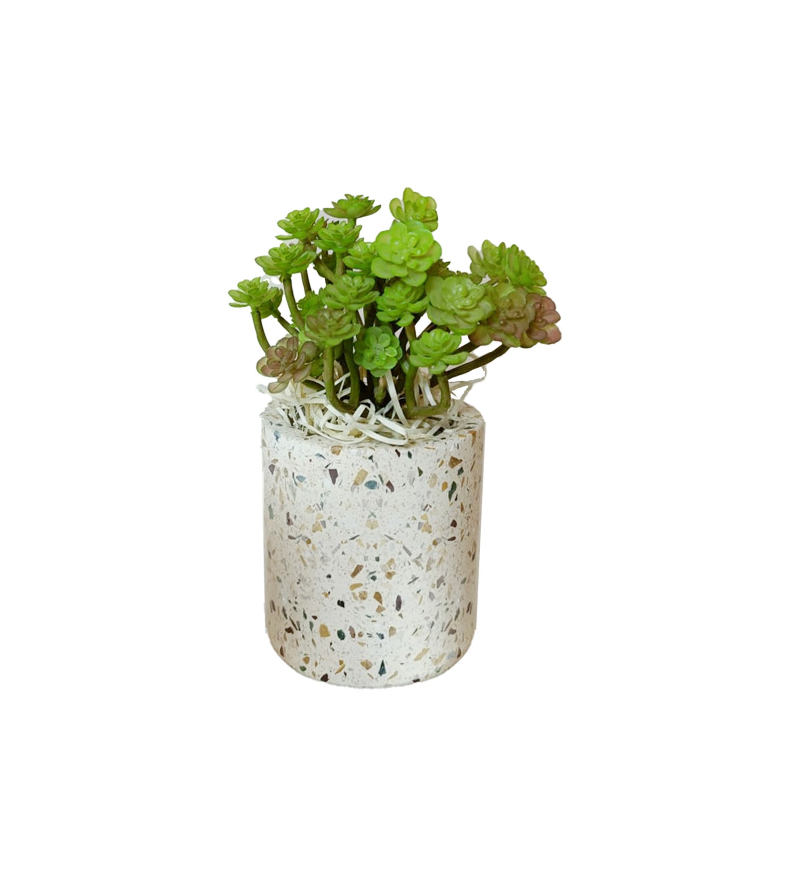 Terrazzo Vase with Artificial Plants