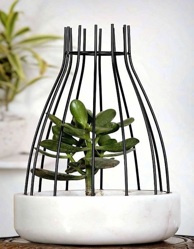 White Marble Base with Black Metal Web Planter