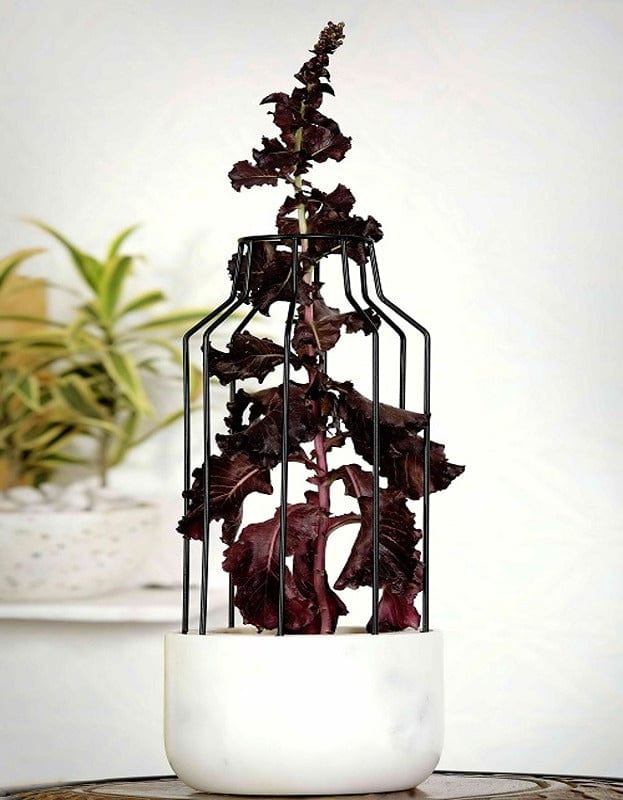 White Marble Base with Black Metal Mesh Planter