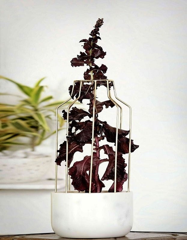 White Marble Base with Gold Metal Mesh Planter