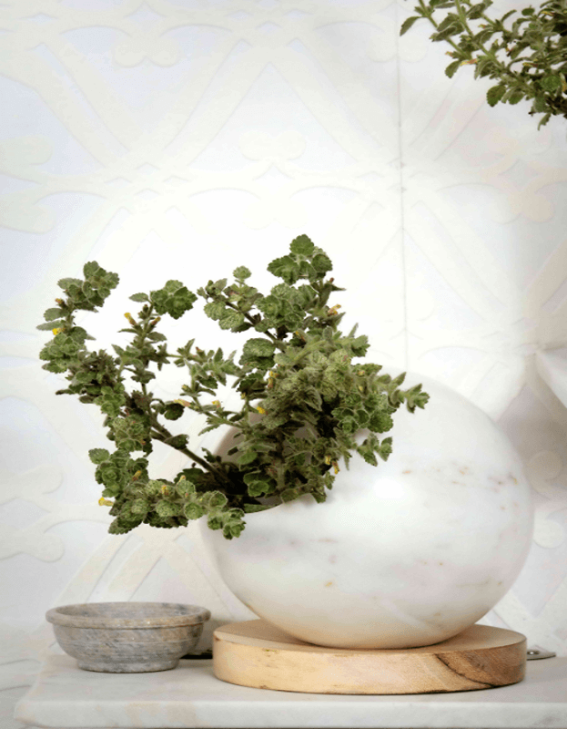 Ball Planter with Wooden Plate