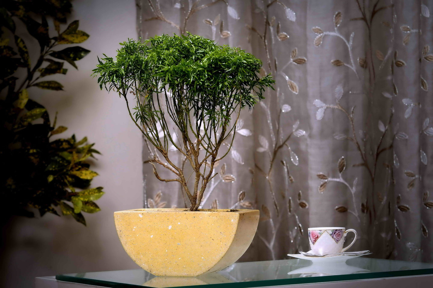 indoor terrazzo planter Yellow Semi-circle Terrazzo Planter