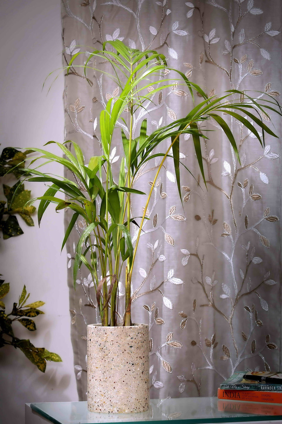 Beige Cylinder Terrazzo Planter