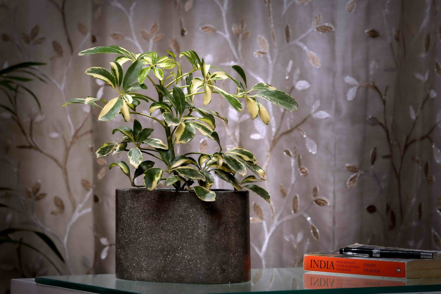 Dark Grey Ovallong Terrazzo Planter