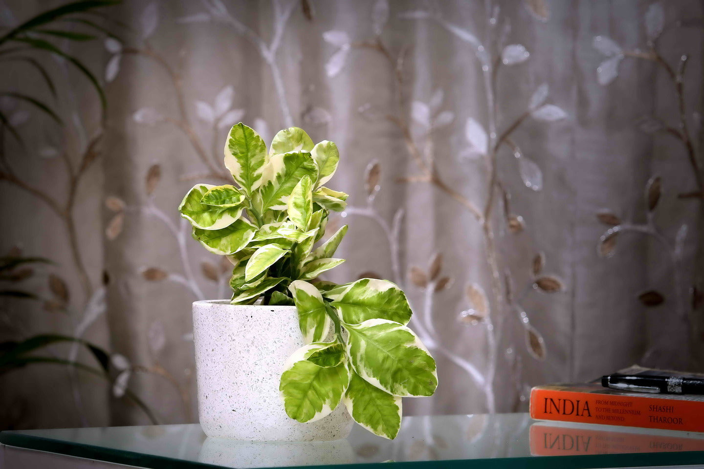 White Glass Terrazzo Planter