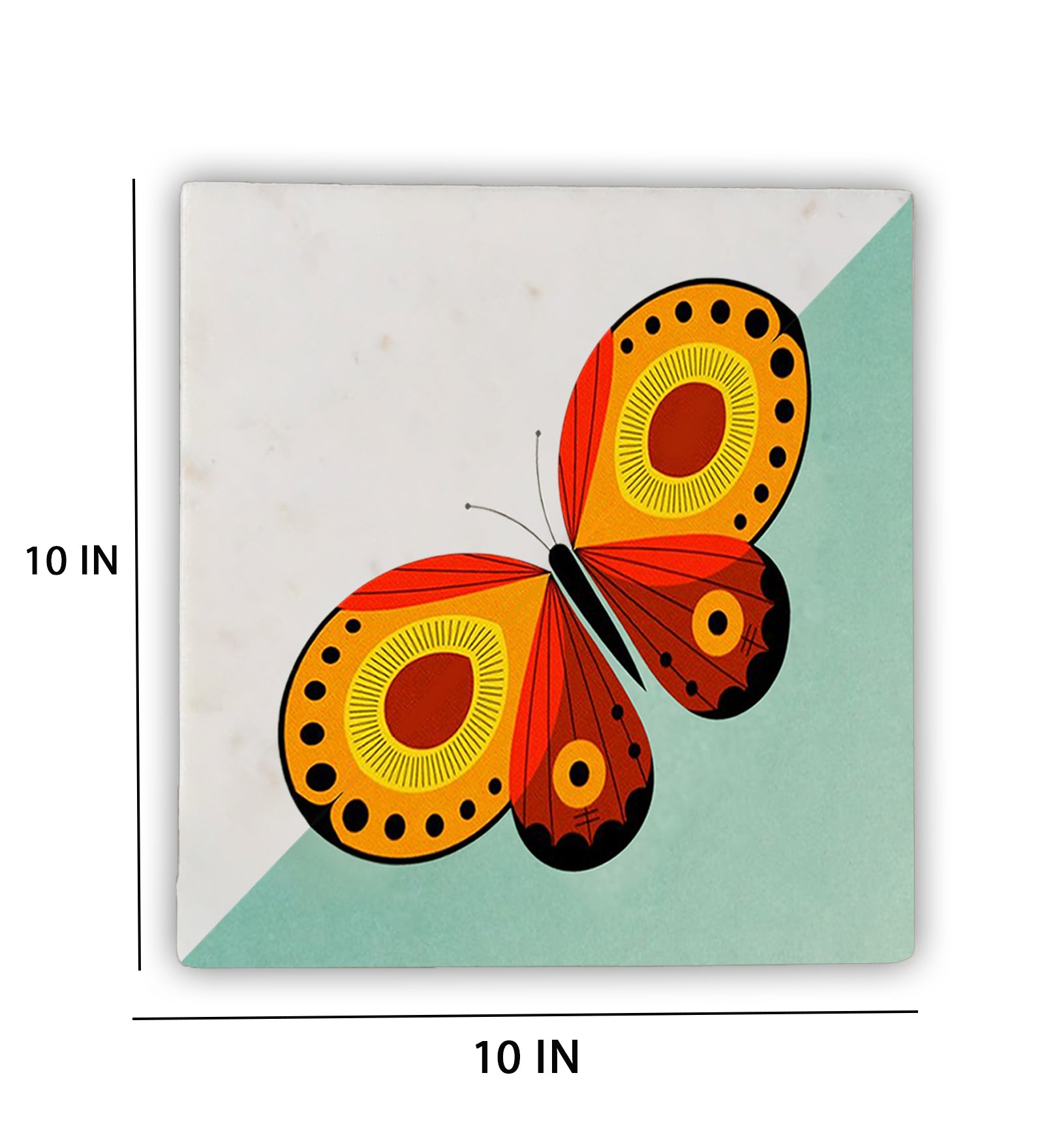 Color me Butterfly Wall Art