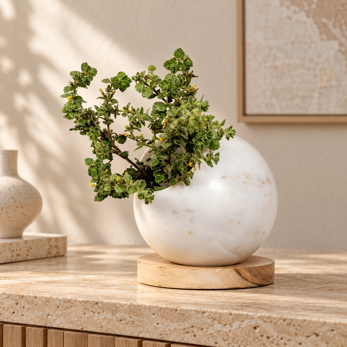 Ball Planter with Wooden Plate