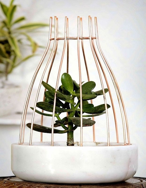 White Marble Base with Copper Metal Web Planter
